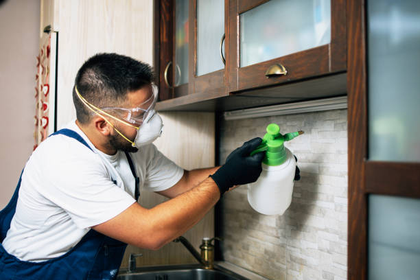 Best Wildlife Control Services  in Red Chute, LA