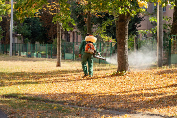 Best Wasp Removal Services  in Red Chute, LA
