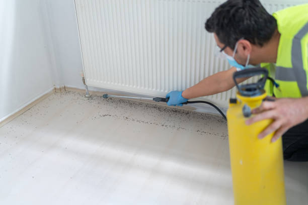 Best Pest Control Cost  in Red Chute, LA