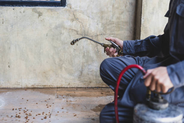 Best Exterminator Services  in Red Chute, LA
