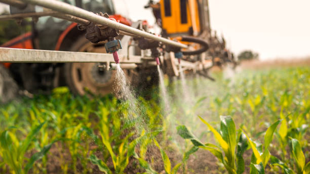 Best Mosquito Control Services  in Red Chute, LA