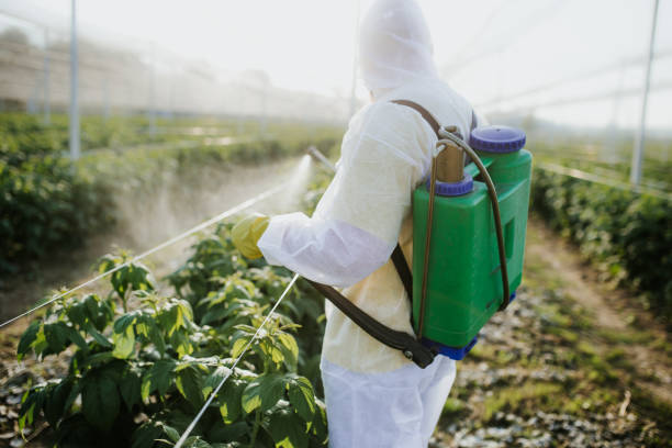 Best Commercial Pest Control Services  in Red Chute, LA